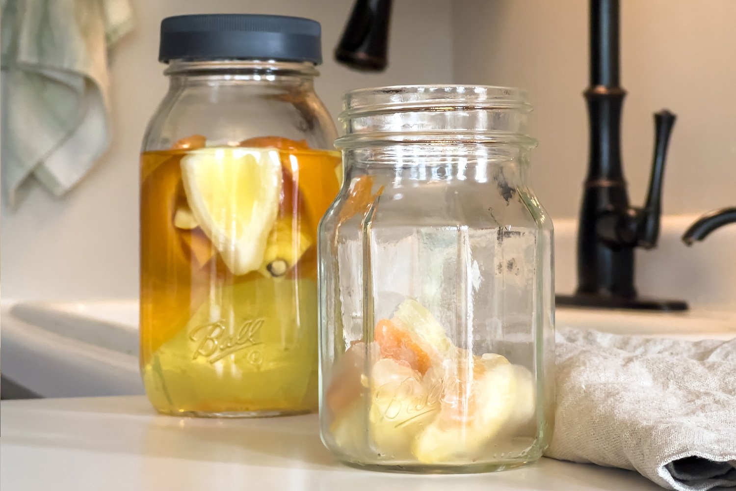 DIY Garbage Disposal Cleaner Pods Every Purpose Home