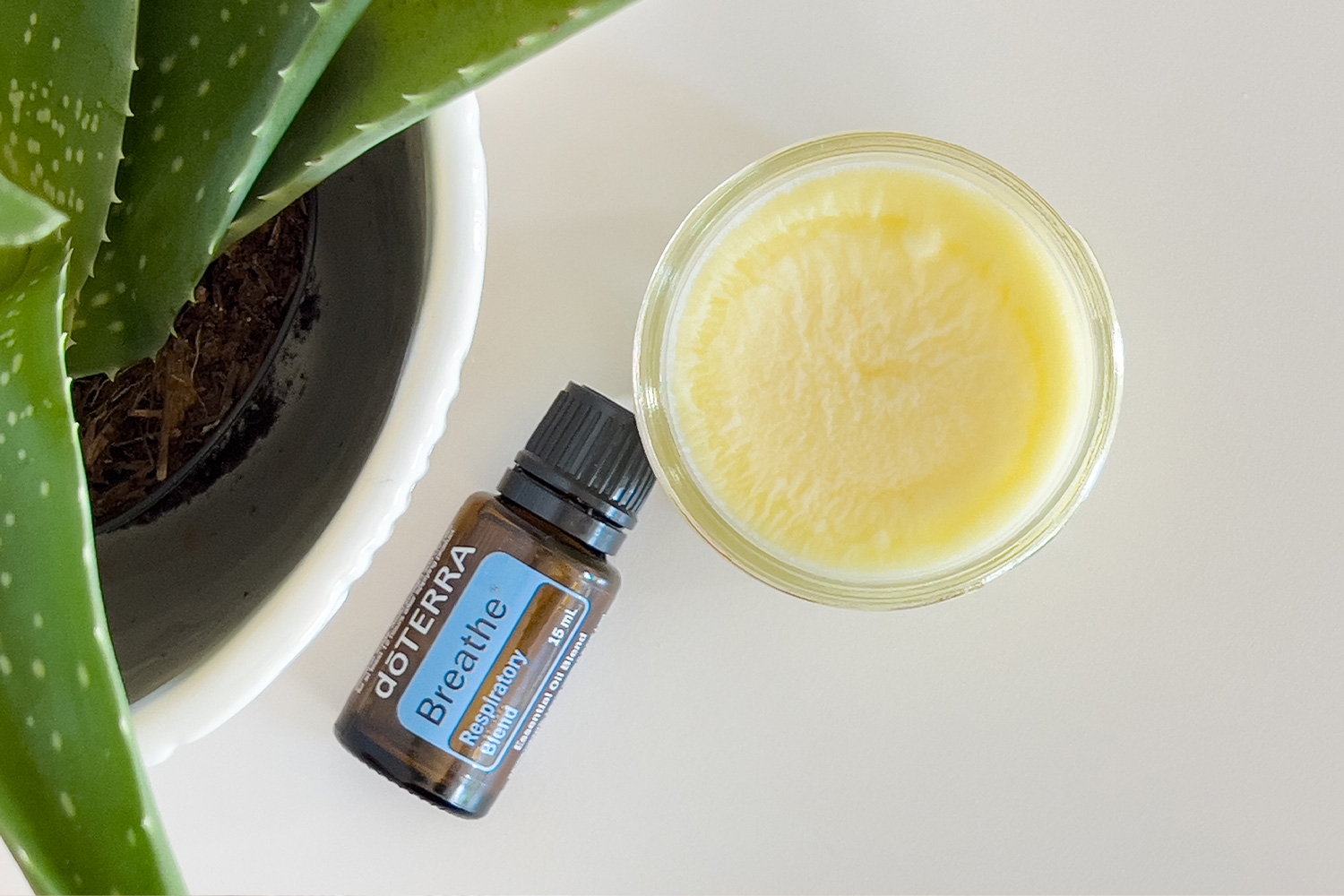 Homemade Chest Rub for Colds, Allergies, and Flu Every Purpose Home