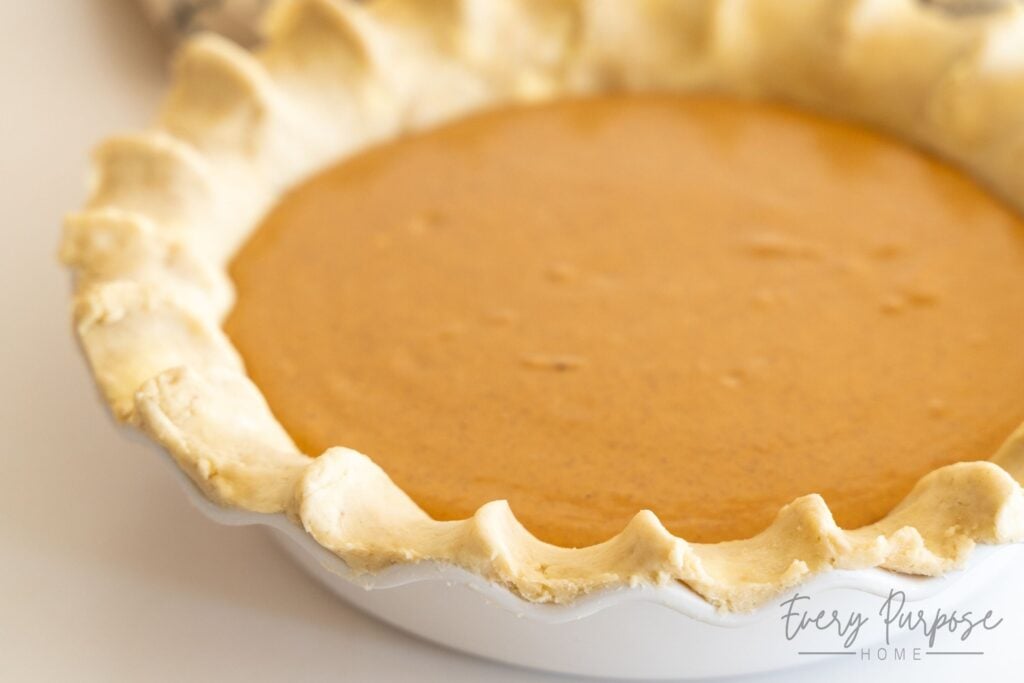 sourdough discard pie crust