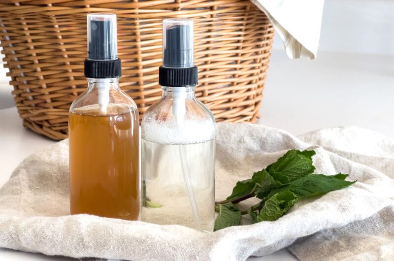 Homemade Bug Spray Without Essential Oils, 3 Options!