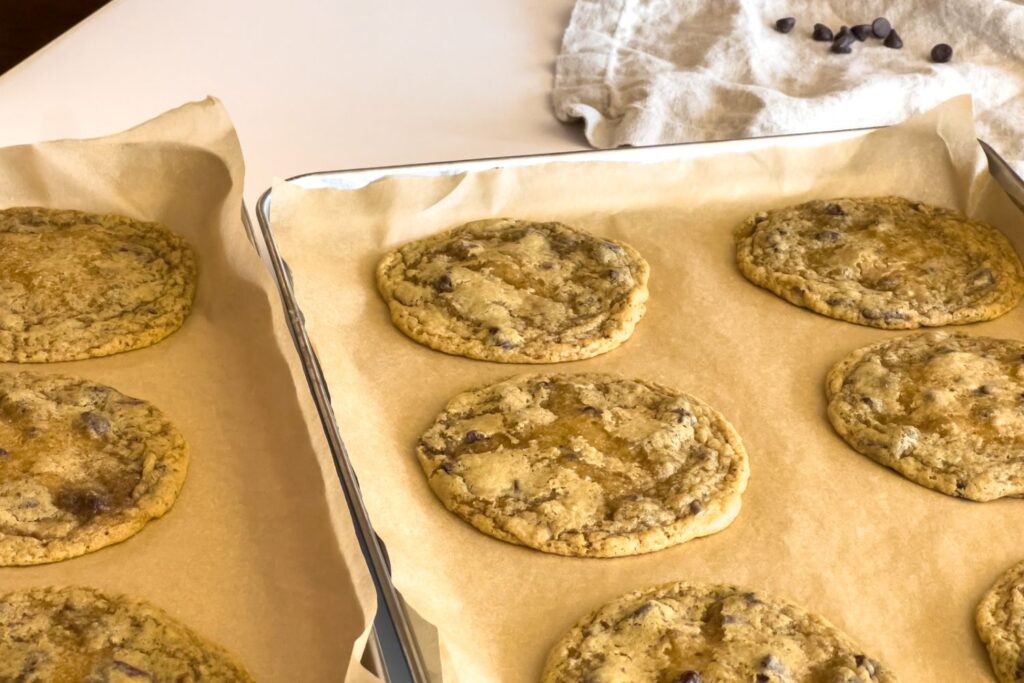 sourdough cookies recipe