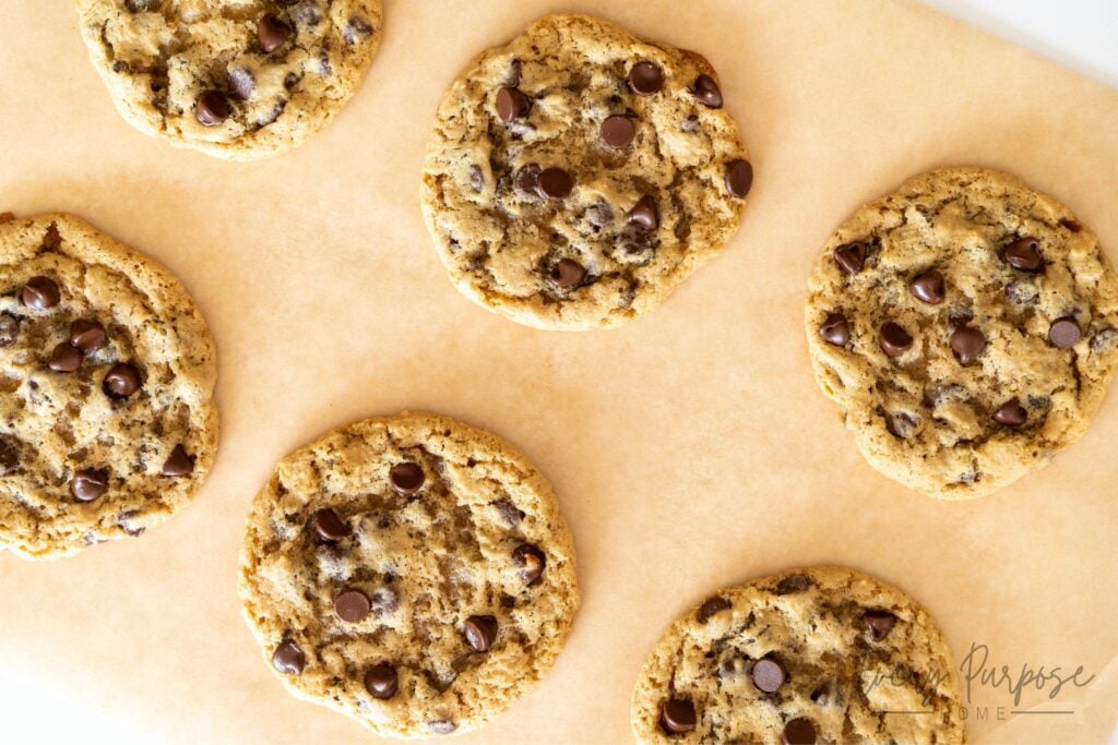 gooey sourdough chocolate chip cookies