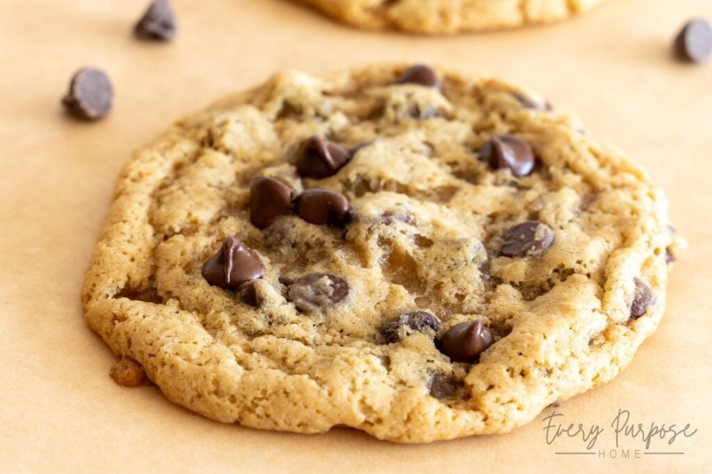 fresh baked warm sourdough chocolate chip cookie recipe using sourdough discard