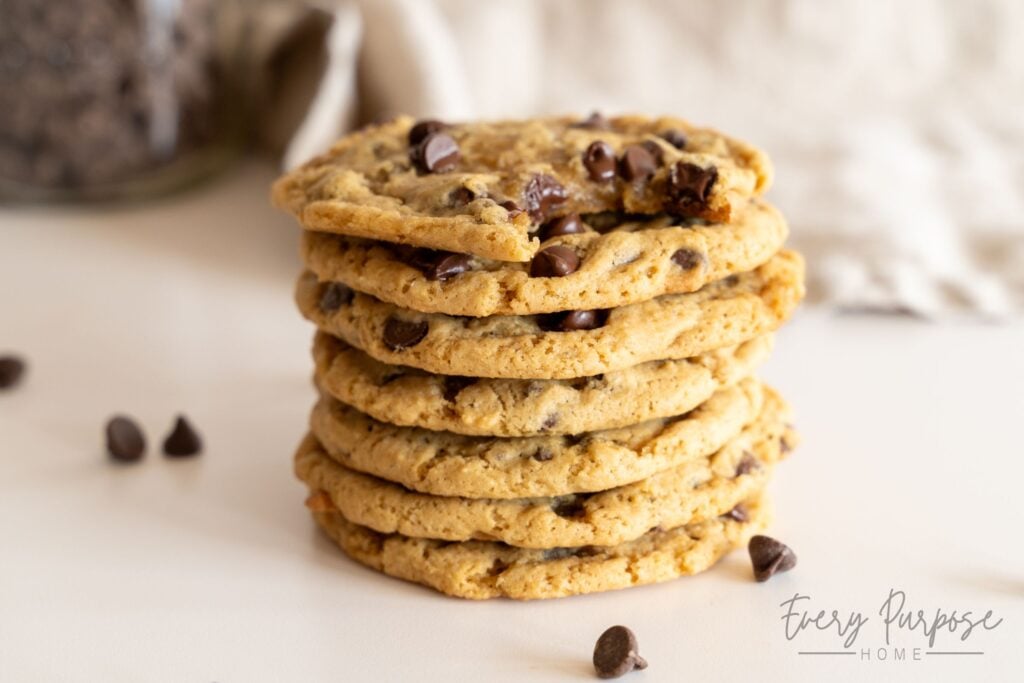 double batch fudgy sourdough discard chocolate chip cookies