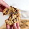 gooey fudgy sourdough discard cookies with chocolate chips
