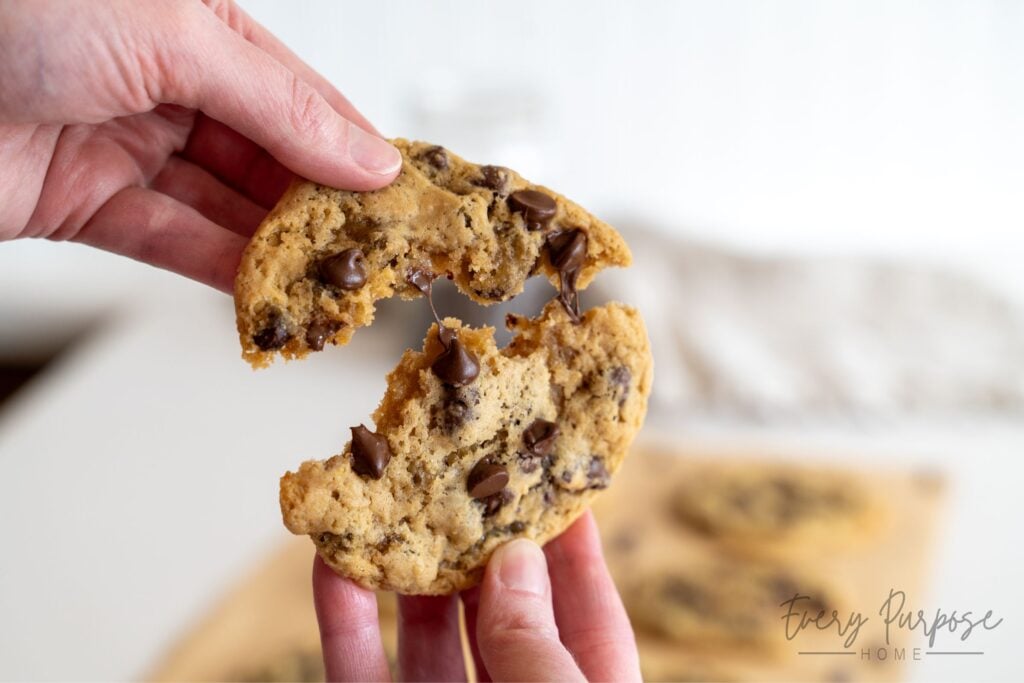 gooey fudgy sourdough discard cookies with chocolate chips