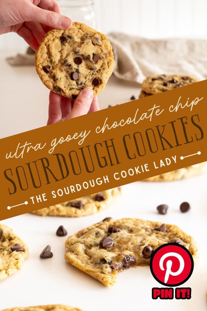sourdough chocolate chip cookies Pinterest pin