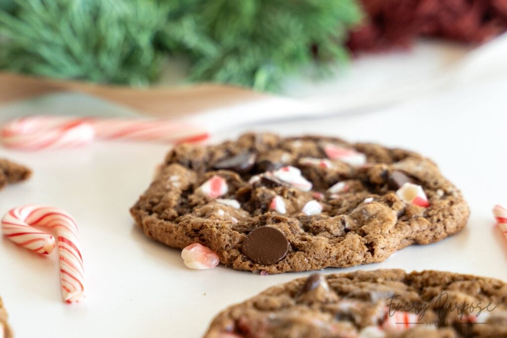 chocolate peppermint sourdough cookies