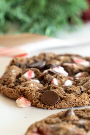 chocolate peppermint sourdough cookies