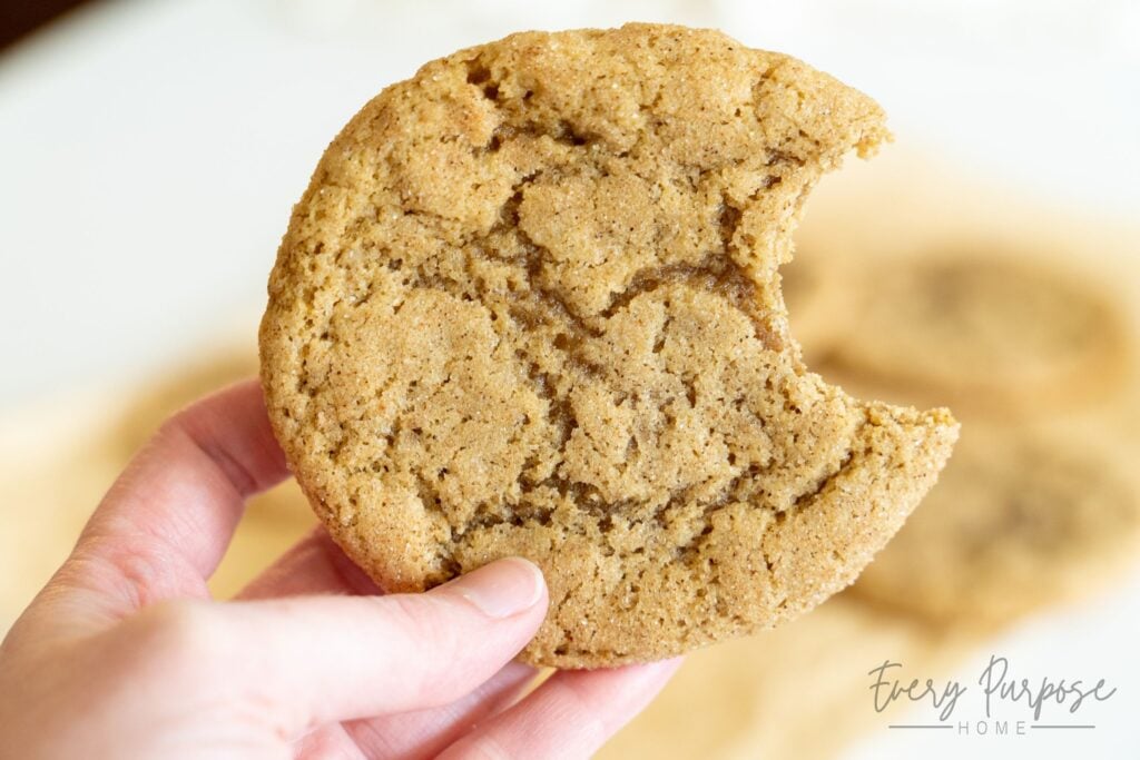 holding a sourdough snickerdoodles cookie