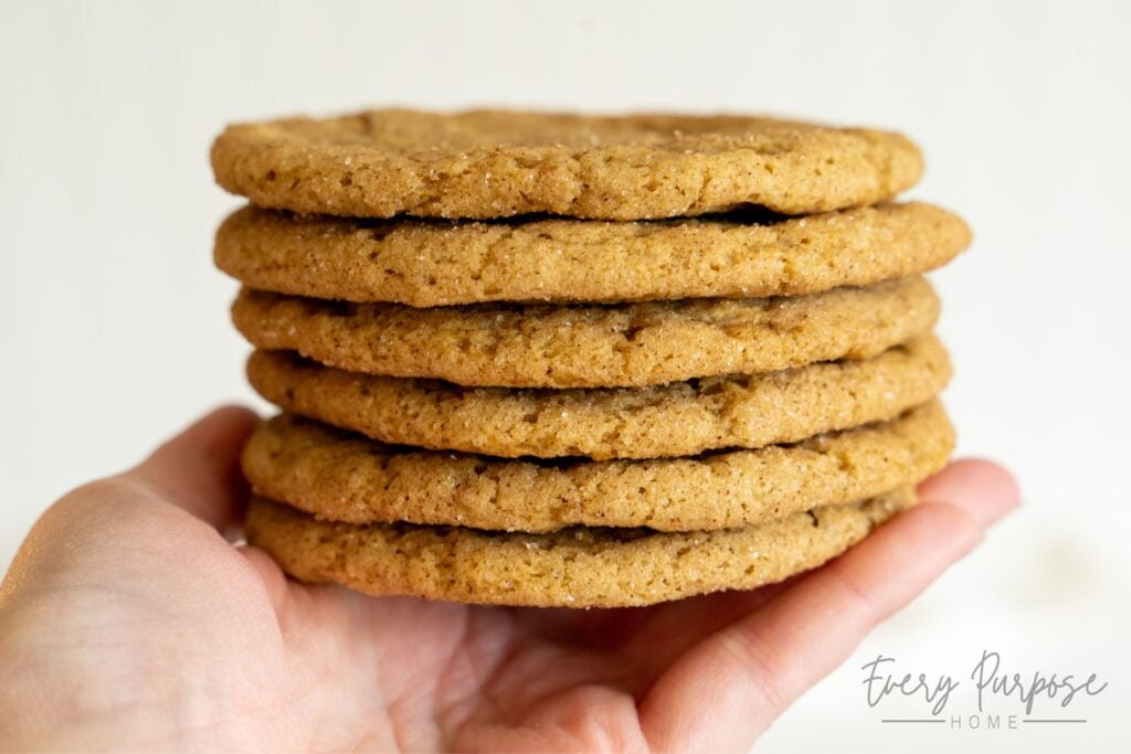 holding a stack of sourdough snickerdoodle cookies