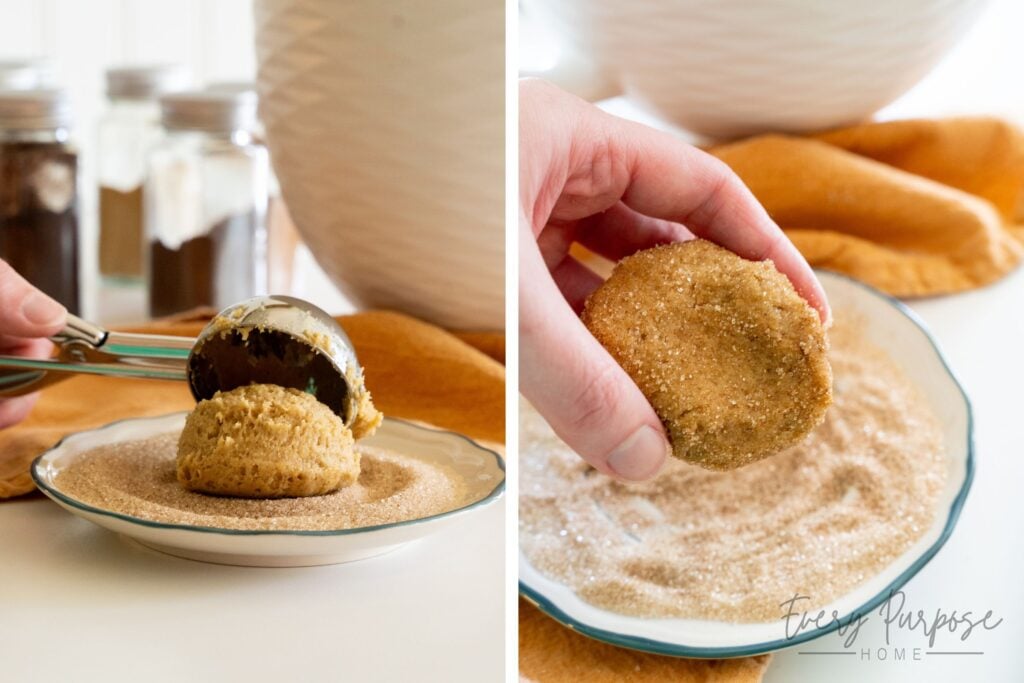 scoop and roll sourdough snickerdoodle cookies in cinnamon sugar