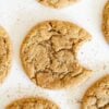 soft sourdough snickerdoodle cookies