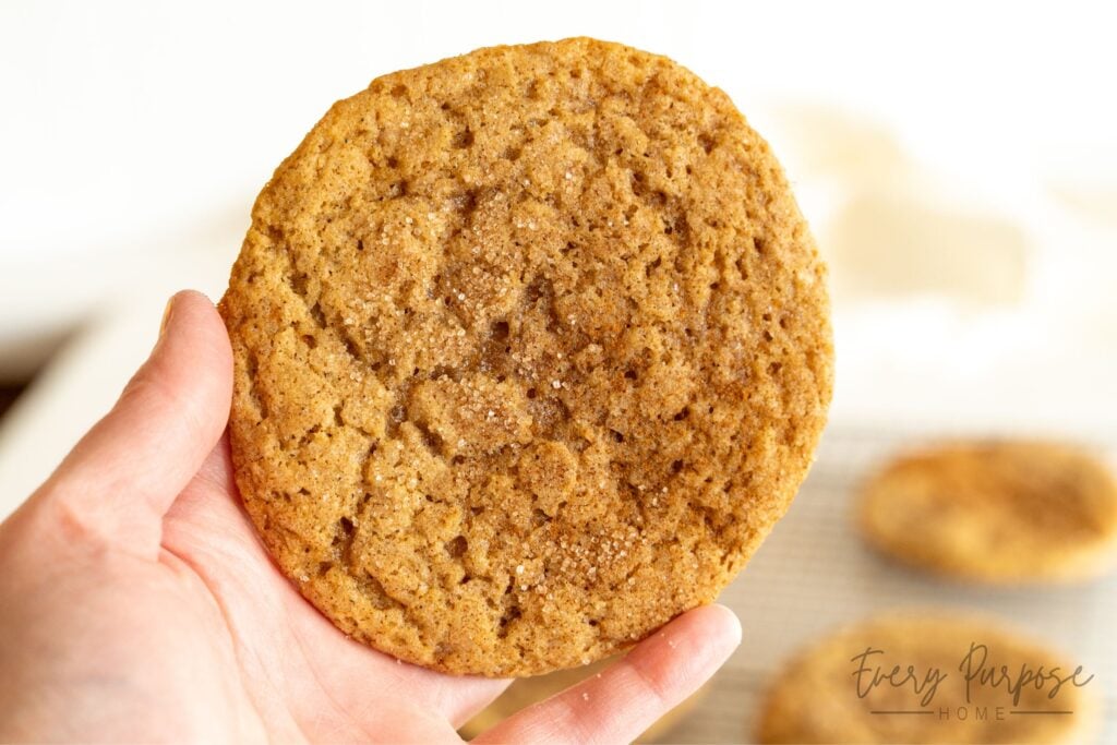 sourdough snickerdoodle cookie
