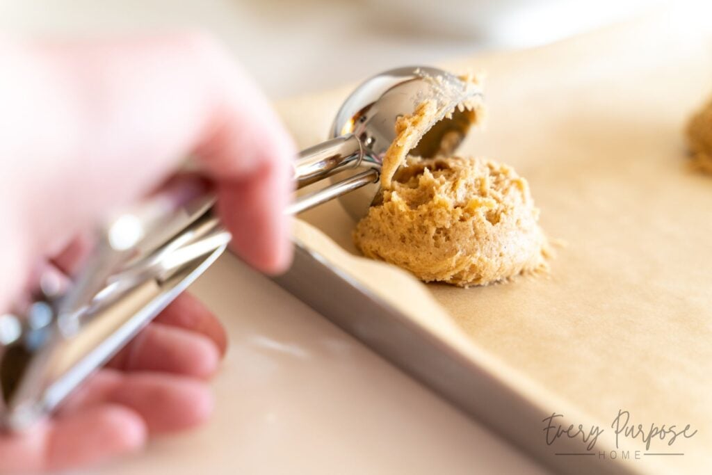 sourdough snickerdoodle dough scoop