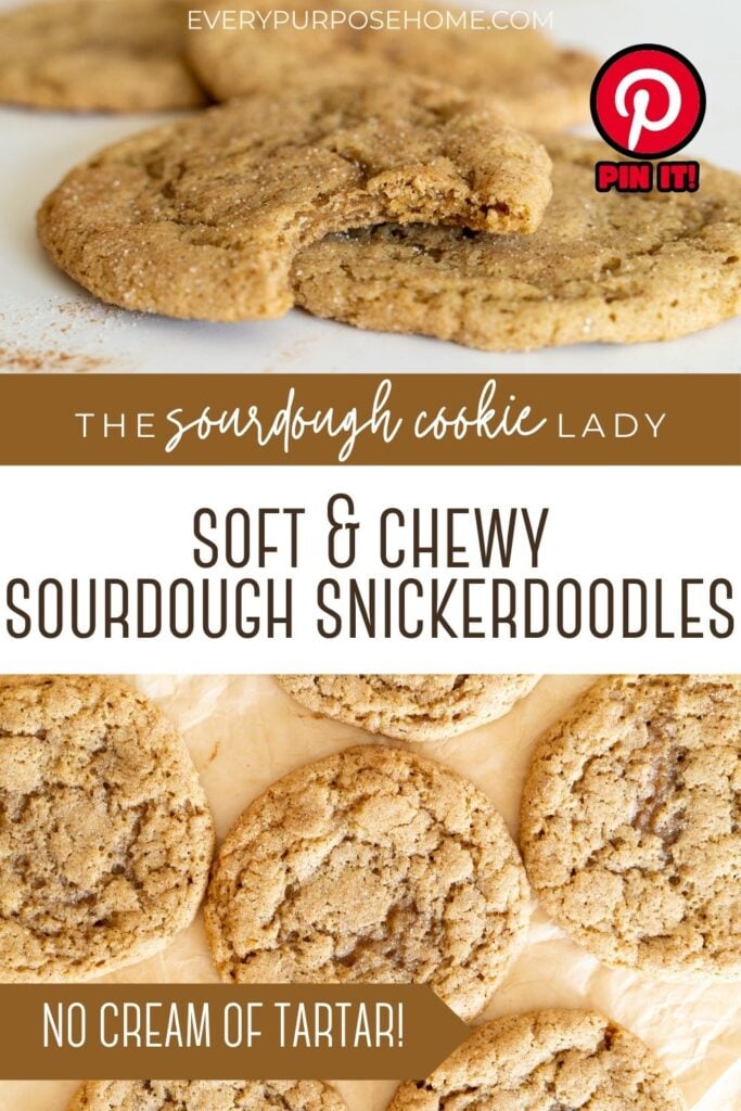 sourdough snickerdoodle cookies Pinterest pin