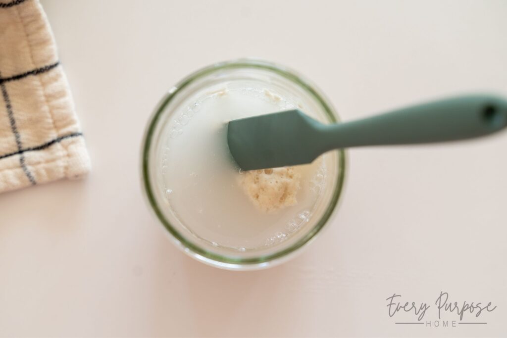 how to revive sourdough starter for beginners