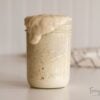 how to make sourdough starter happy and bubbly again for beginners