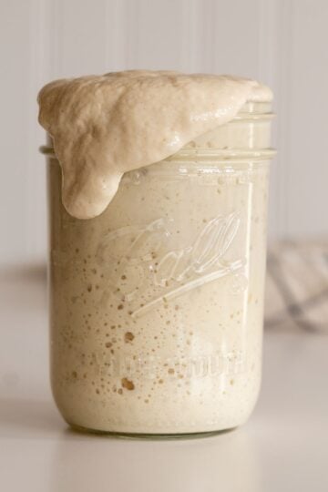 how to make sourdough starter happy and bubbly again for beginners