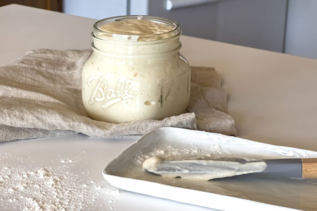 how to revive sourdough starter for beginners