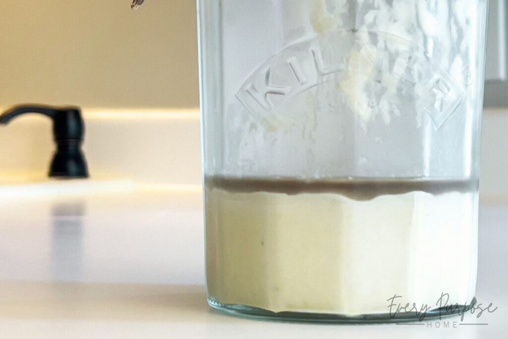 what to do with sourdough starter that has black stuff on top