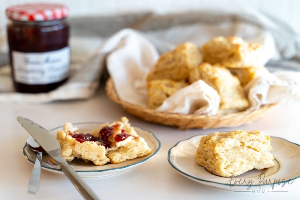 protein biscuits