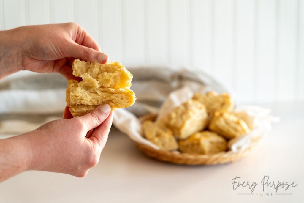 flaky high protein biscuits