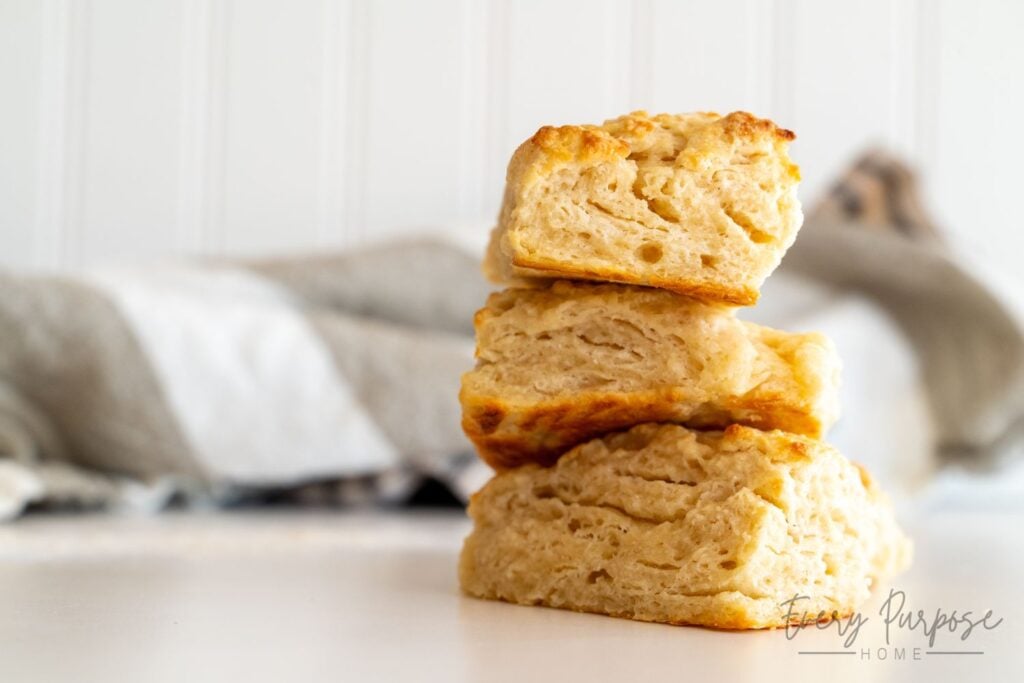 protein biscuits no protein powder