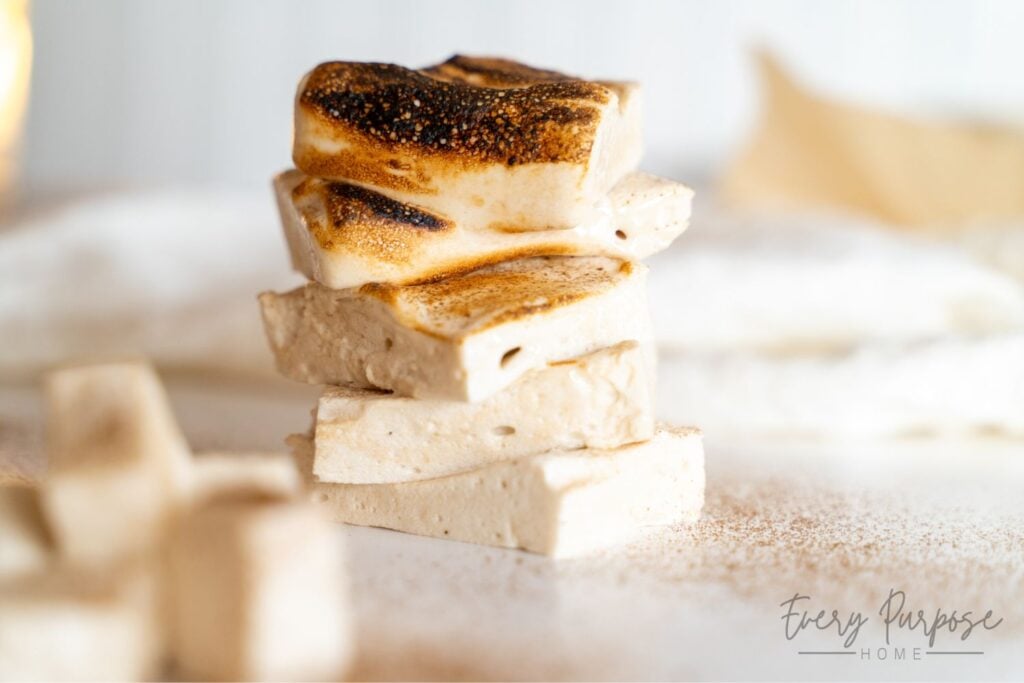 toasted marshmallows with vanilla bean