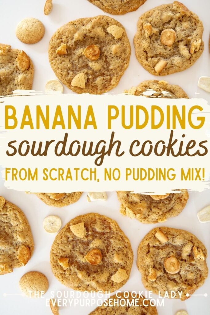 sourdough banana pudding cookies Pinterest pin