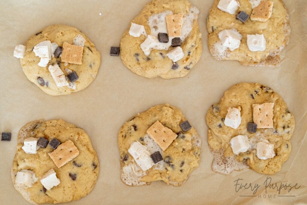 ugly but worth it sourdough s'mores cookies using homemade marshmallows