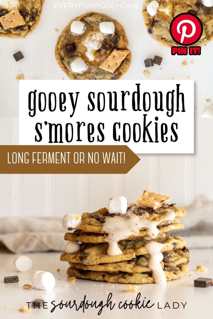 sourdough smores cookies Pinterest pin