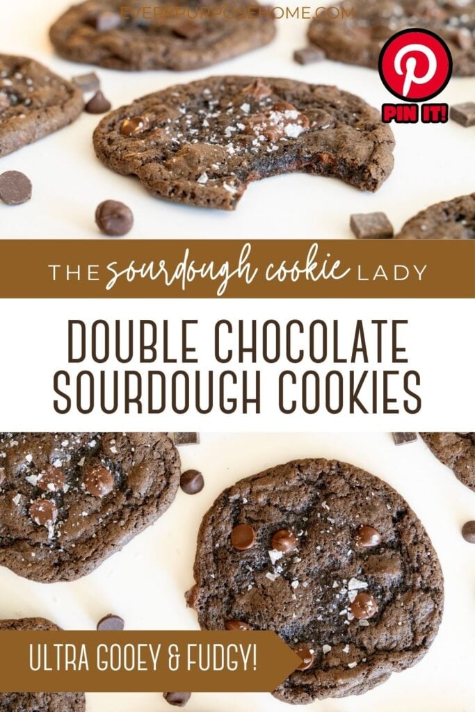 double chocolate sourdough cookies Pinterest pin