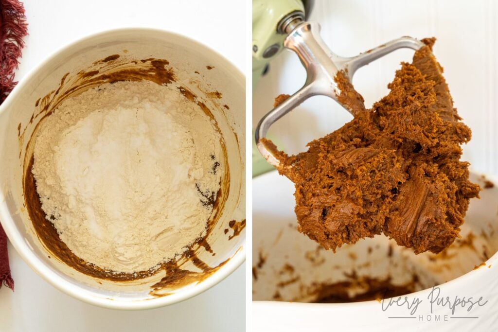 sourdough gingerbread cookie dough