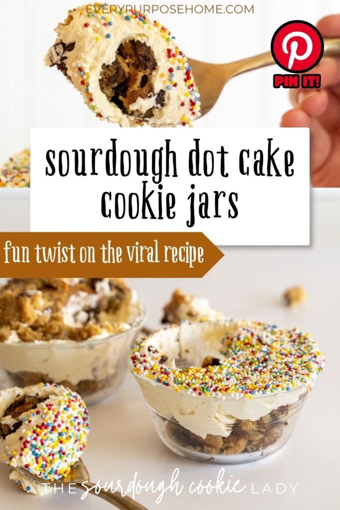 sourdough dot cake cookie jars sourdough cookie cake Pinterest pin