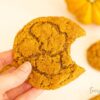 sourdough pumpkin cookies that are chewy never cakey