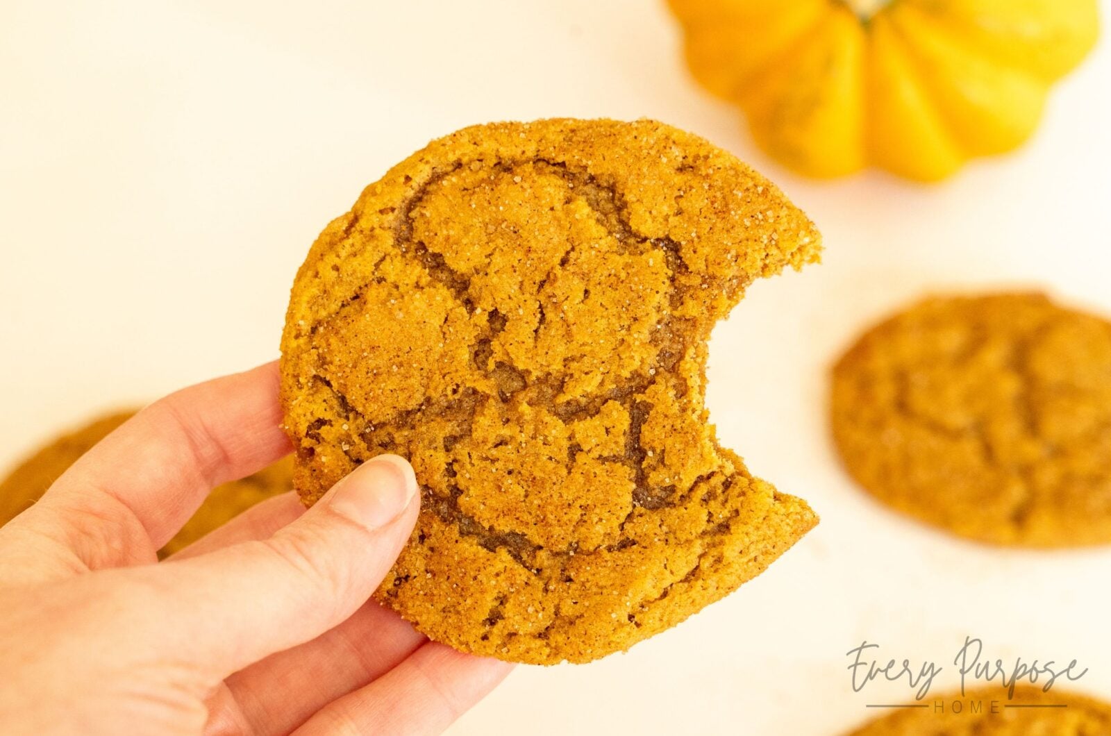 Sourdough Pumpkin Cookies (Chewy NOT Cakey!)