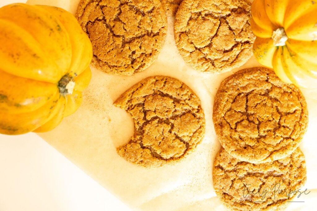 sourdough pumpkin snickerdoodles