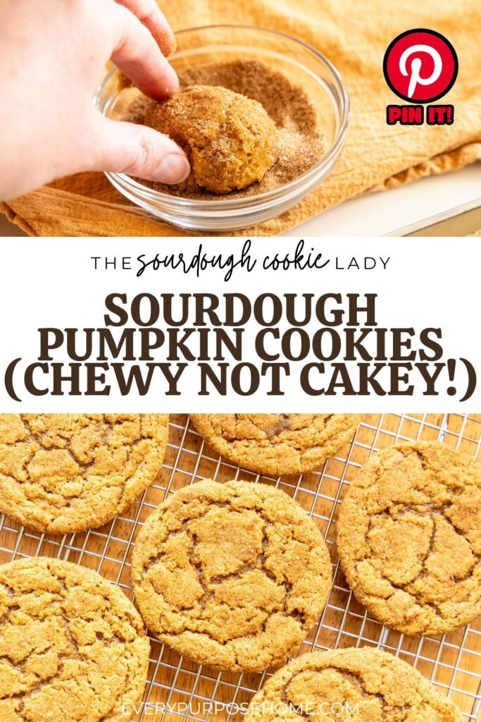 sourdough pumpkin cookies that are chewy not cakey