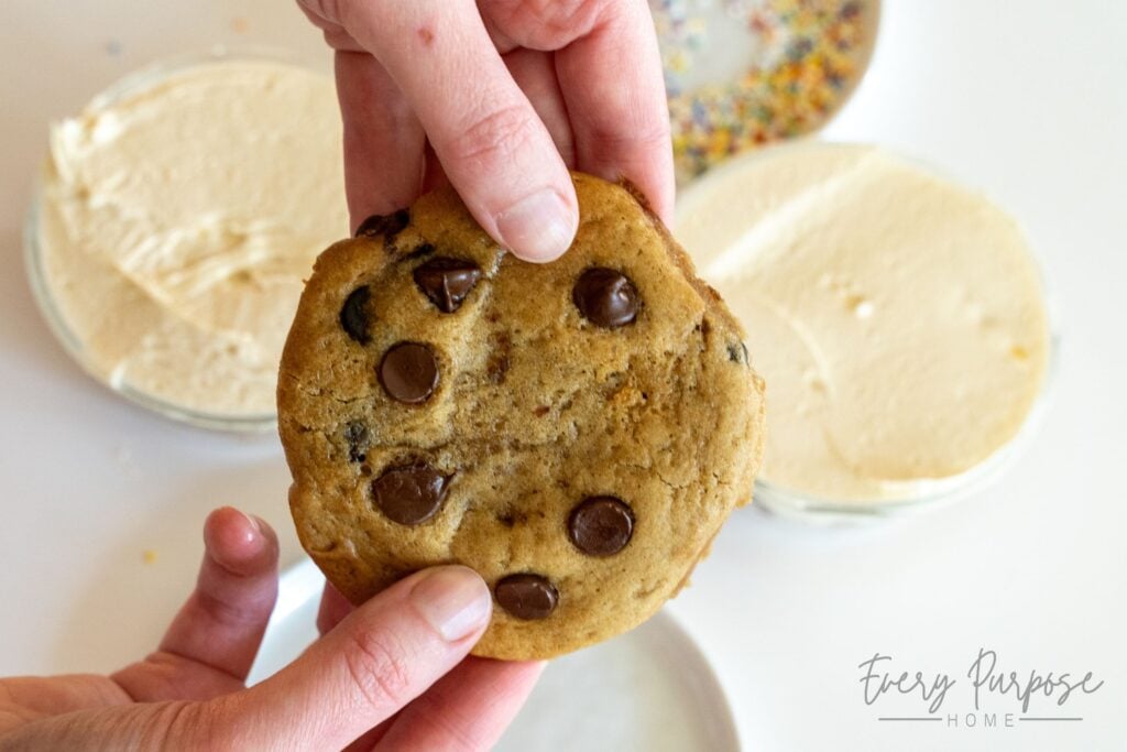 viral dot cake cookie jars with sourdough starter