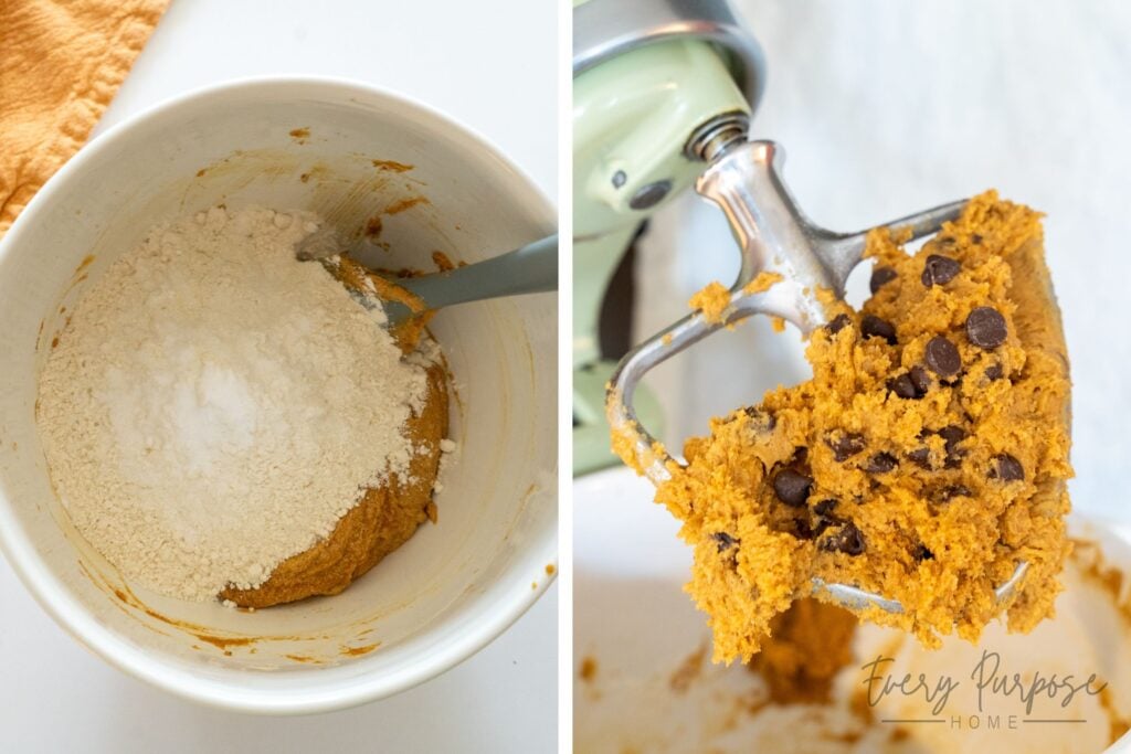 sourdough pumpkin chocolate chip cookie dough