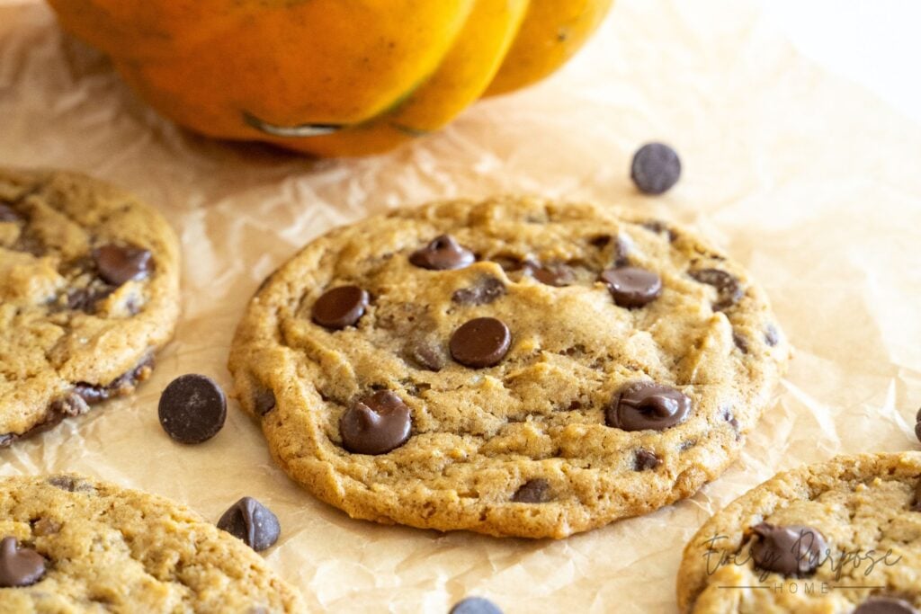brown butter sourdough pumpkin cookies with chocolate chips