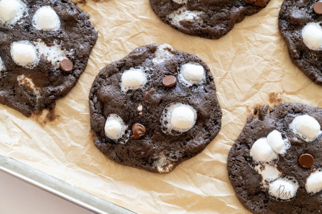 freshly baked sourdough hot chocolate cookies