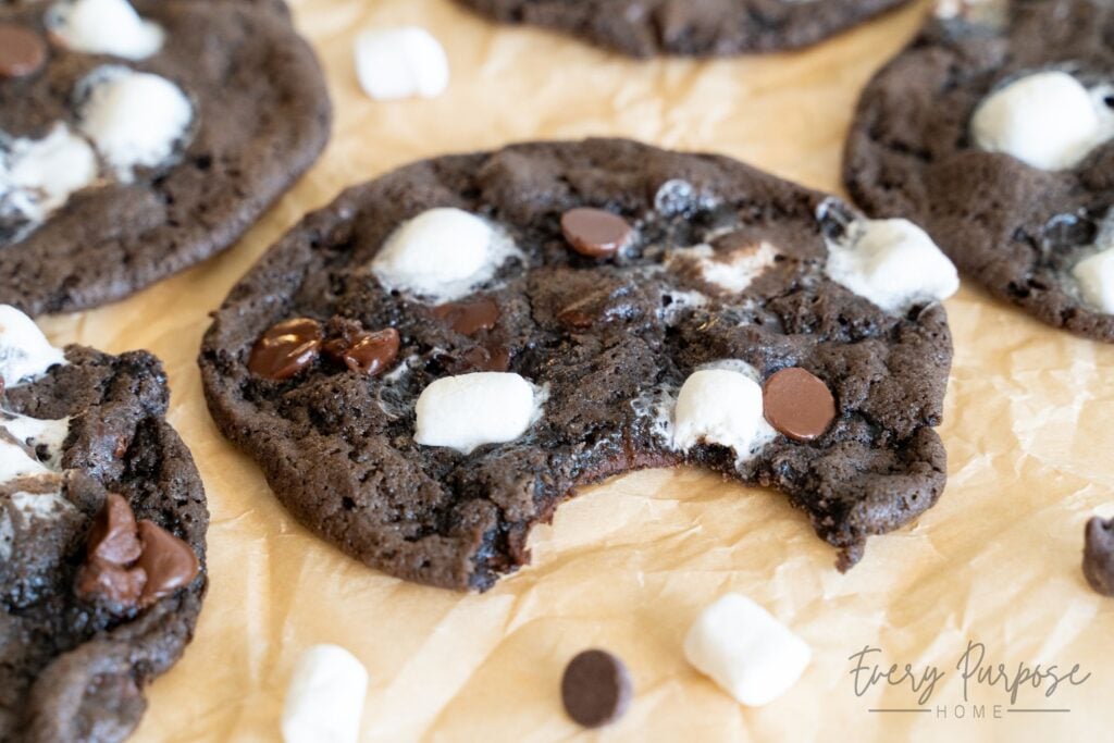 gooey sourdough hot chocolate cookies with marshmallows