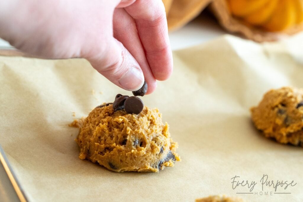 pumpkin chocolate chip sourdough discard cookies