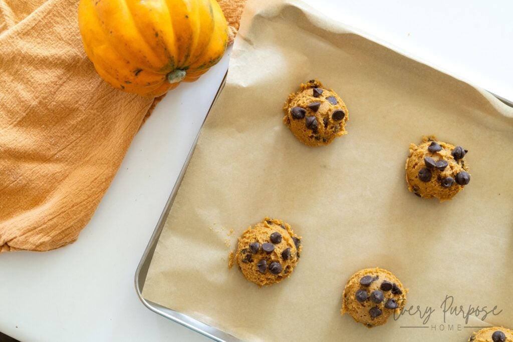 sourdough discard pumpkin chocolate chip cookies