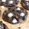 sourdough hot chocolate cookies