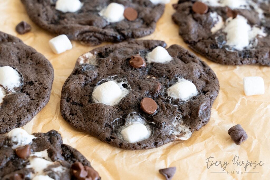 sourdough hot chocolate cookies