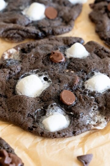 sourdough hot chocolate cookies
