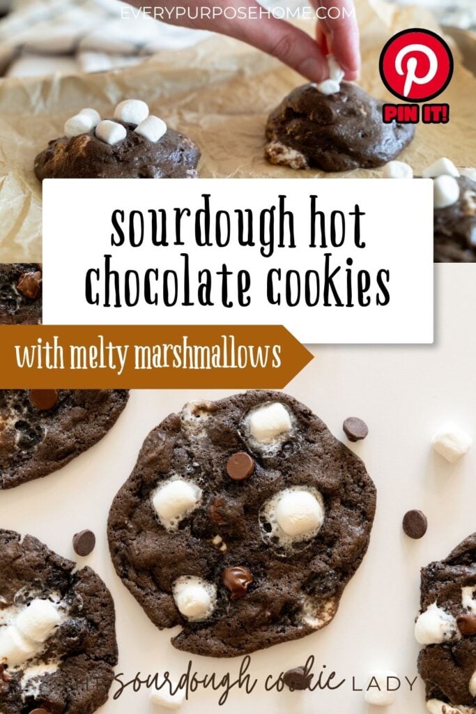 sourdough hot chocolate cookies Pinterest pin